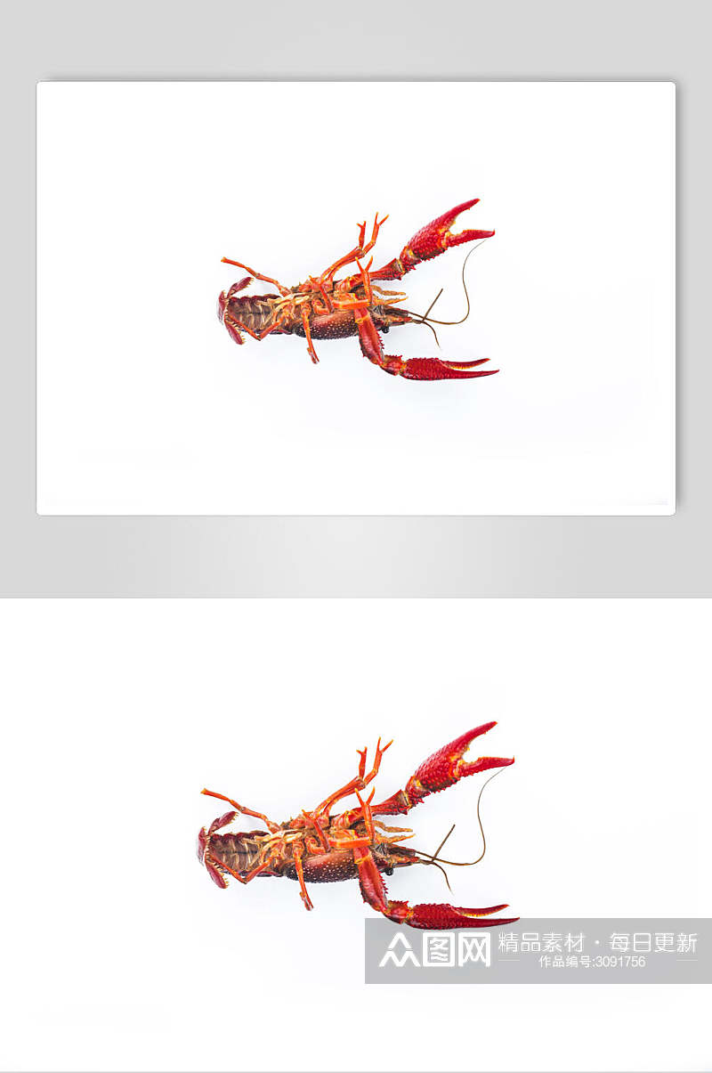 简洁虾类海鲜食品图片素材