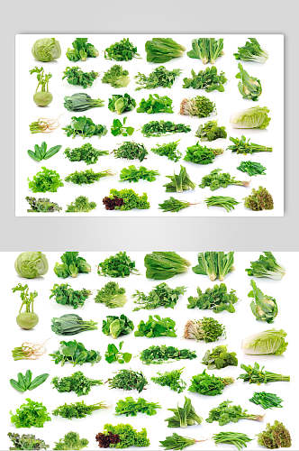 清新绿色青菜白底图片