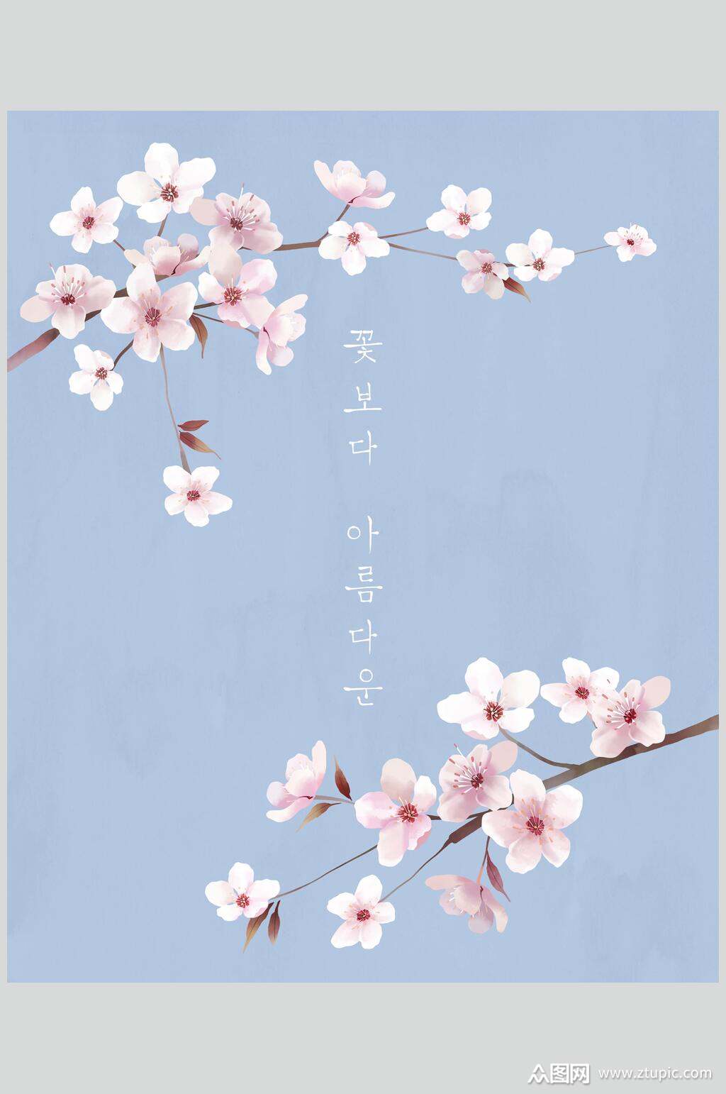 粉色樱花日式简约花卉手绘素材素材