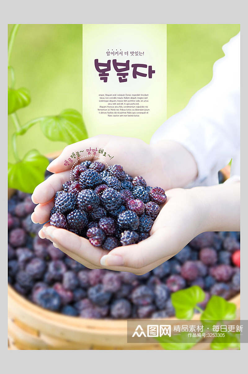 紫黑色酸甜桑葚美食果蔬海报素材