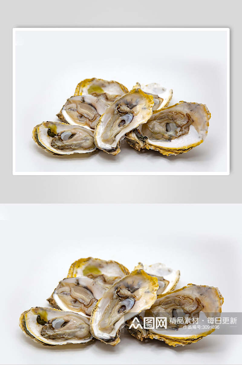 创意贝壳类海鲜图片素材