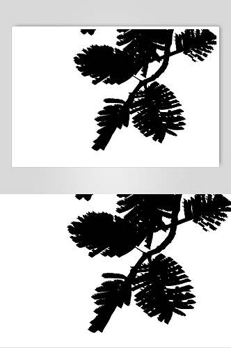 树木叶子黑白简约植物阴影展示样机