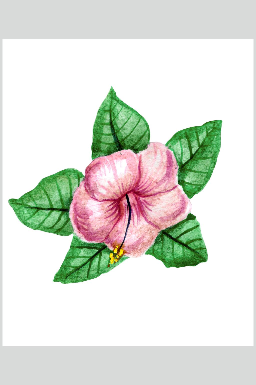 水彩热带雨林植物素材素材