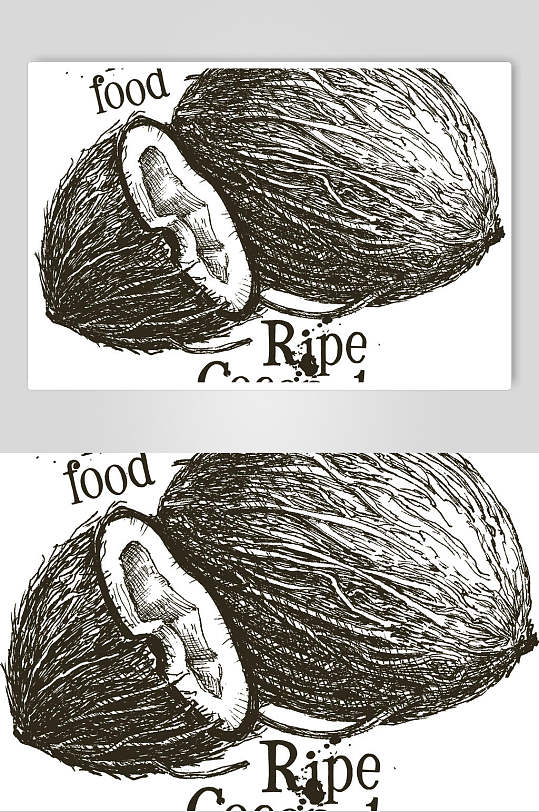 黑白风手绘卡通椰汁椰子水果矢量素材