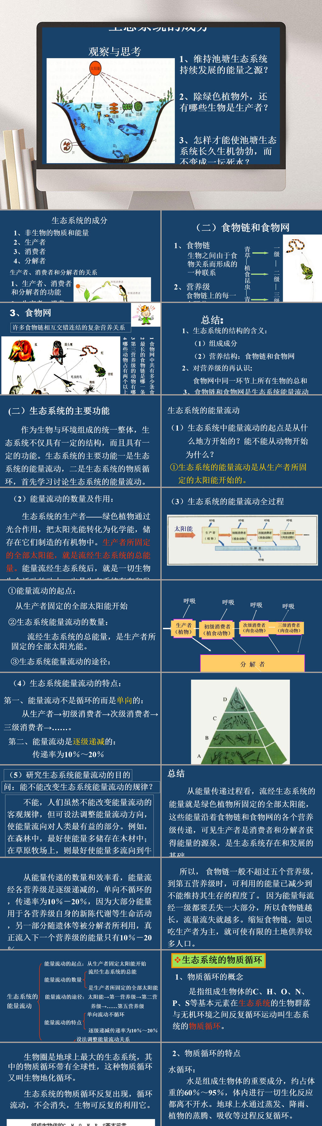 深蓝色生态系统的成分企业ppt