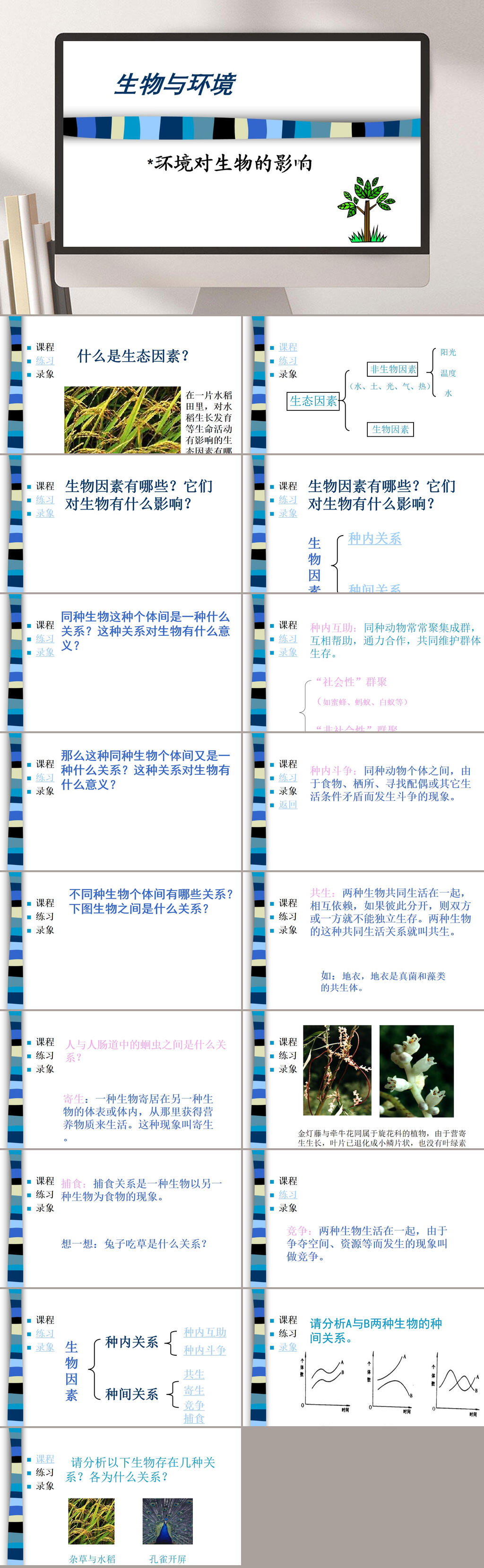 环境对生物的影响企业PPT素材