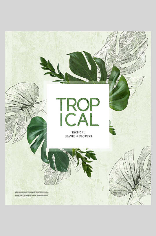 绿色小清新花卉热带植物海报