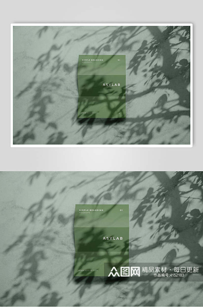 绿色树木清新卡片名片阴影展示样机素材