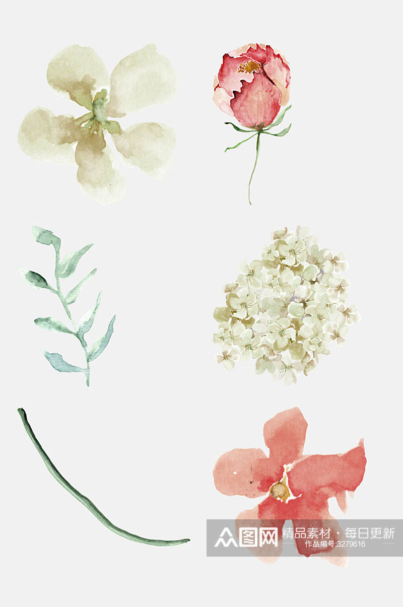 清新玫瑰水彩手绘花卉植物免抠素材素材