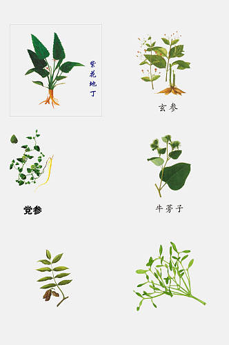 绿色药材草本植物免抠素材