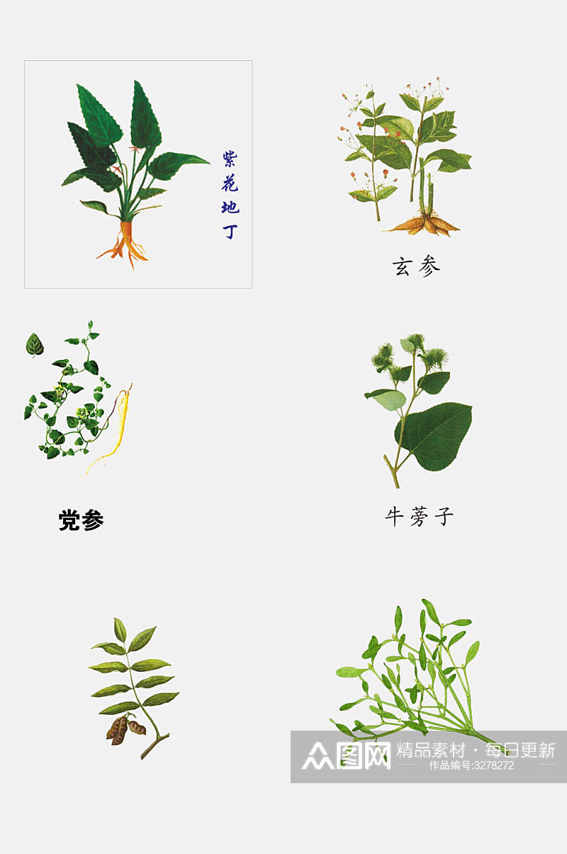 绿色药材草本植物免抠素材素材