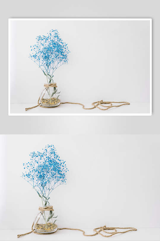 蓝色花朵花语展示高清图片