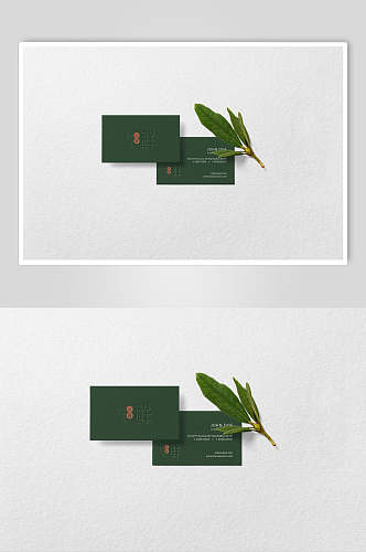 纸张叶子创意大气绿黄鲜花包装样机