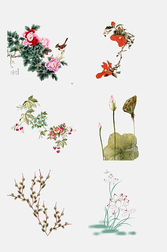 中国风古风雅韵花朵工笔画免抠素材