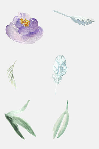 清新植物花朵水彩插画免抠素材