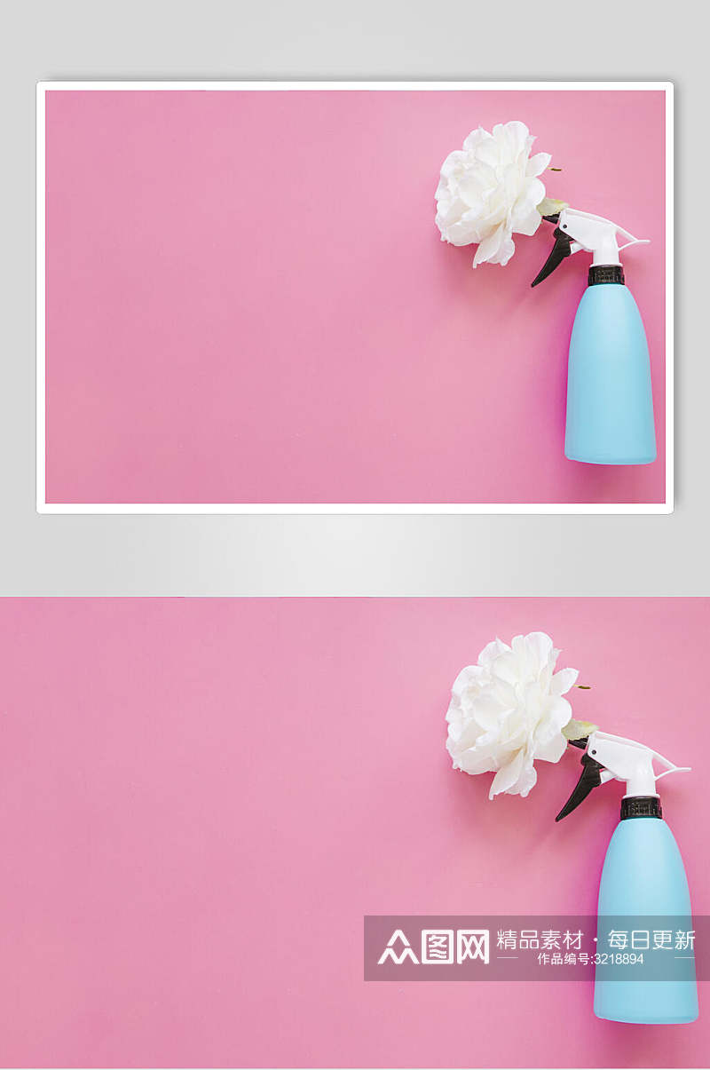 白色玫瑰花朵花语展示高清图片素材
