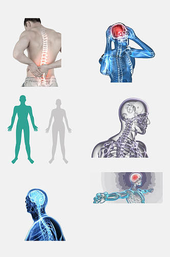 创意大气人体结构图免抠素材