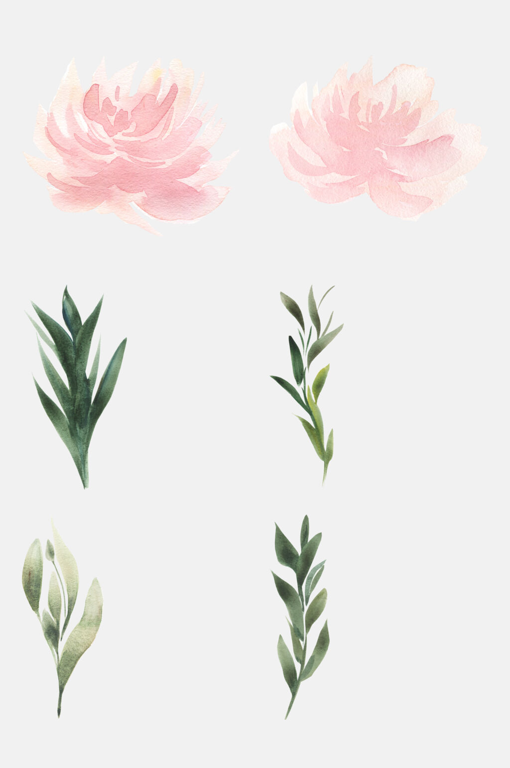 清新手绘植物花朵清新免抠素材素材