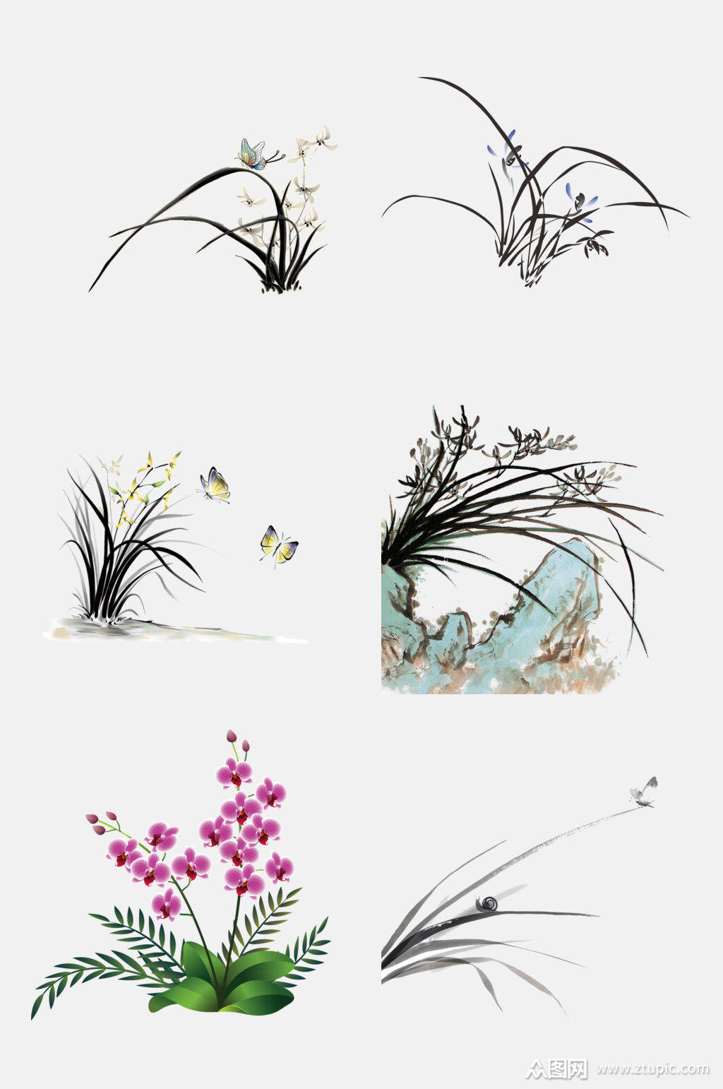 清新精致彩绘兰花工笔画免抠素材素材