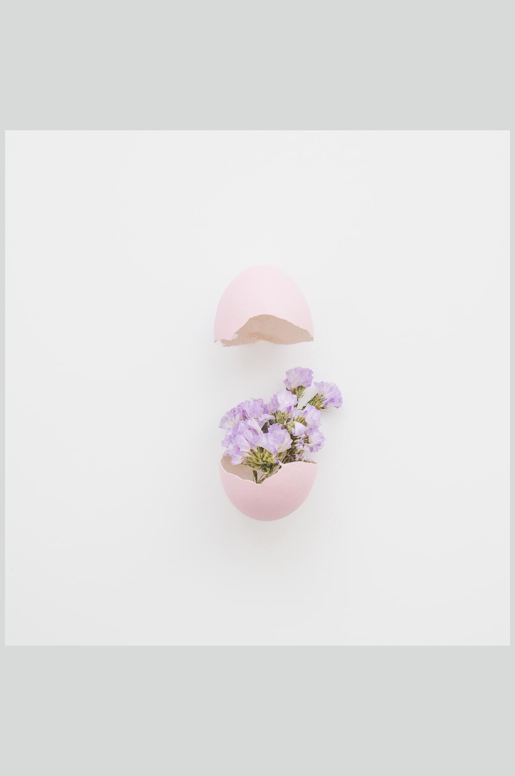 紫色花朵花语展示高清图片素材