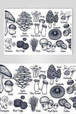 蘑菇手绘线稿食材矢量素材