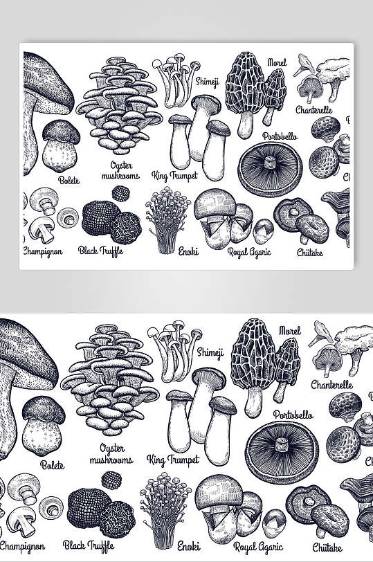 蘑菇手绘线稿食材矢量素材