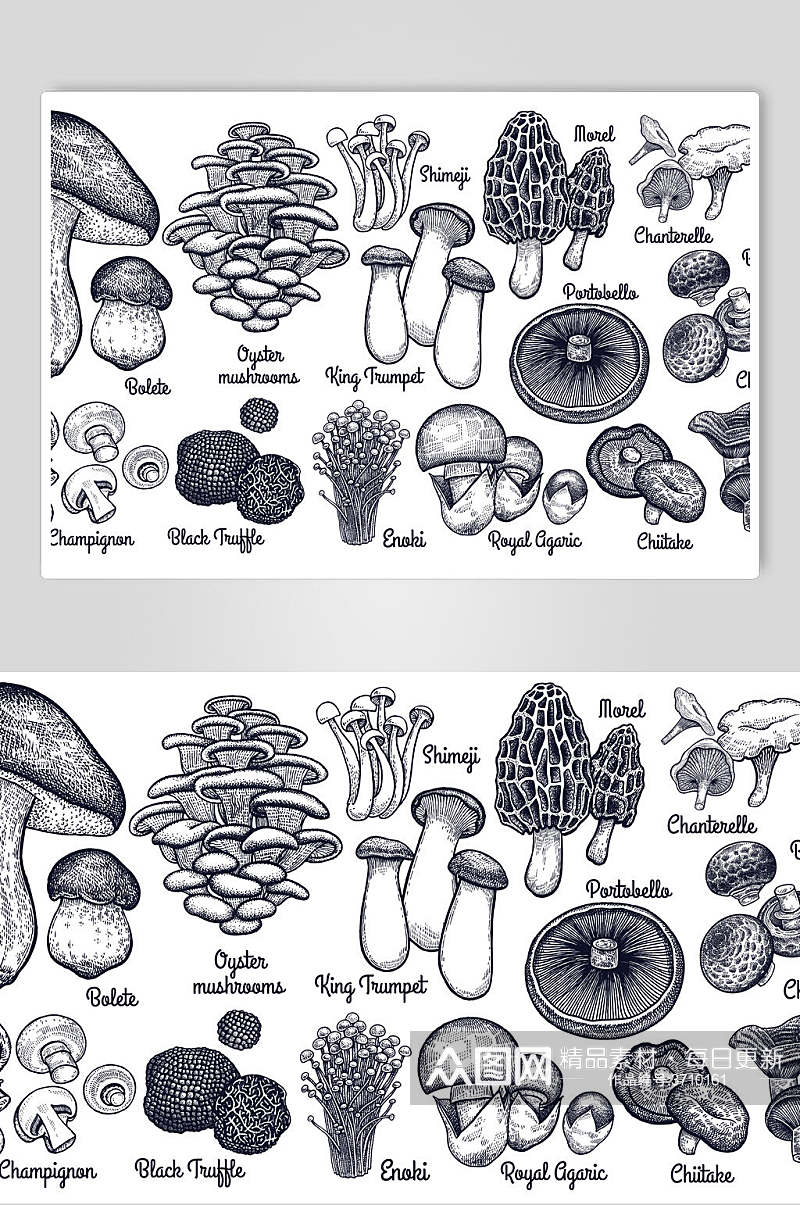 蘑菇手绘线稿食材矢量素材素材