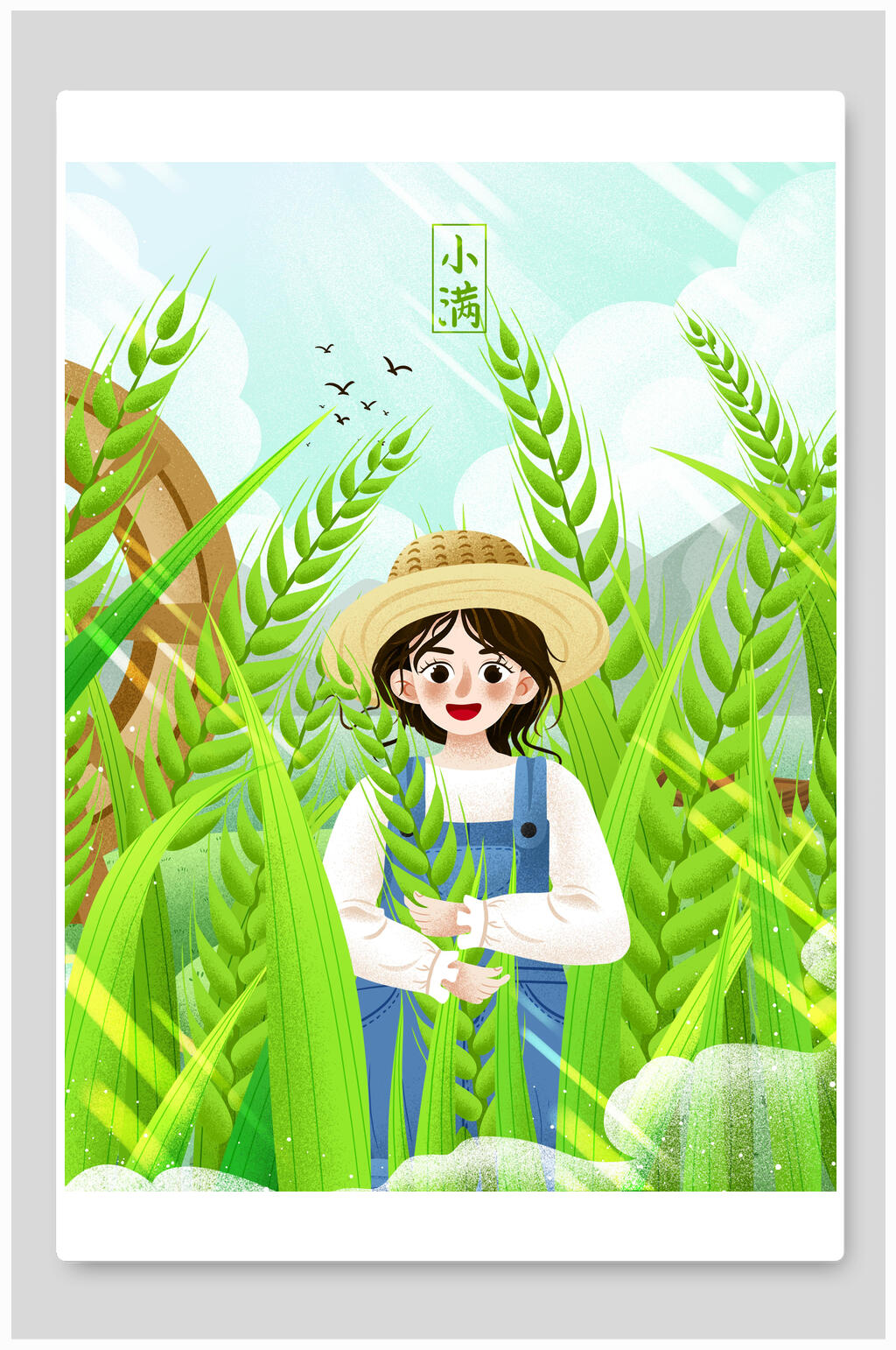 麦子丰收小满节气插画素材素材