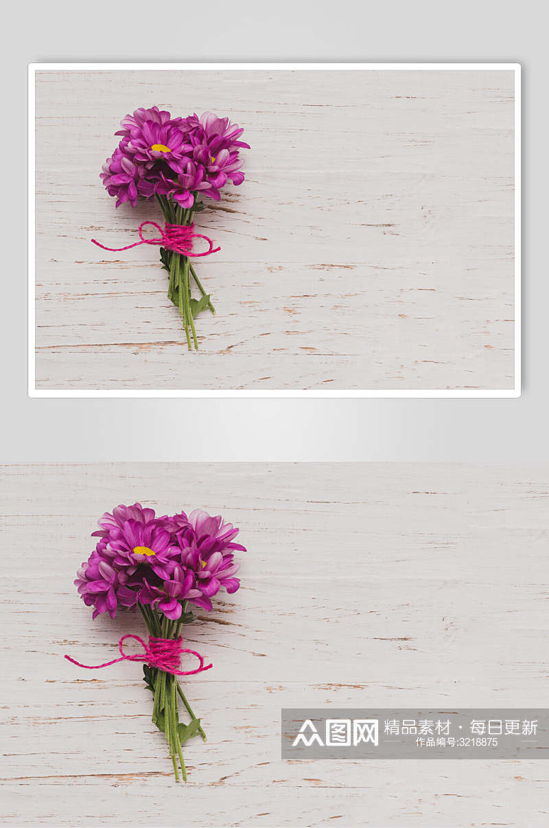 蔷薇花朵花语展示高清图片素材