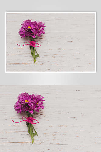 蔷薇花朵花语展示高清图片
