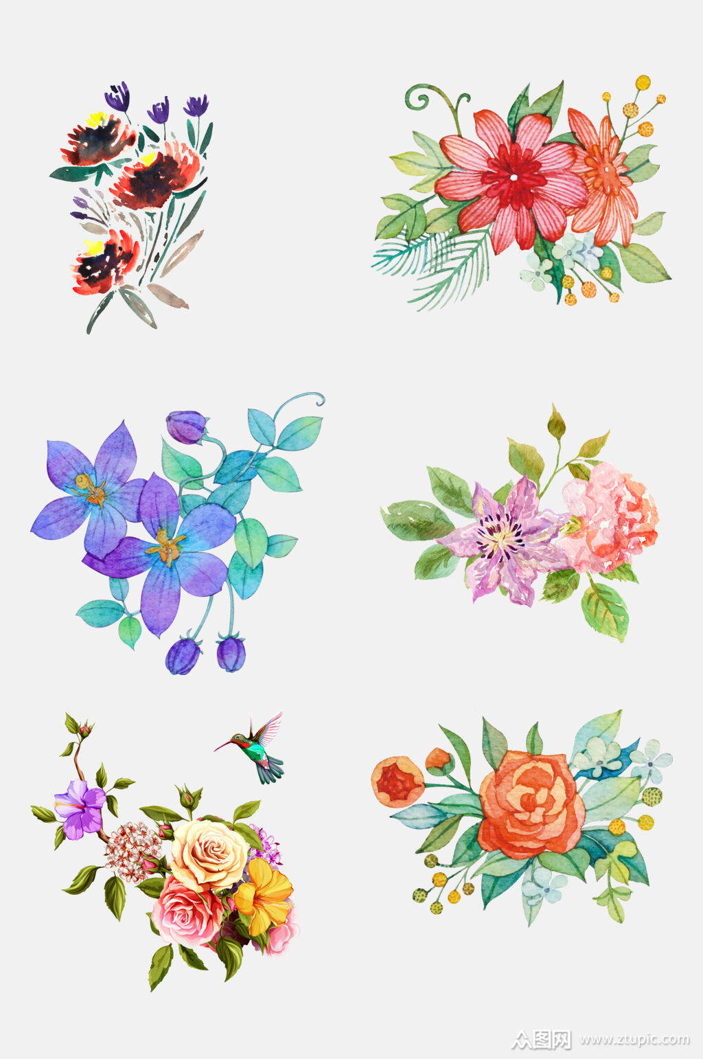 彩色花朵植物花卉免抠设计素材素材