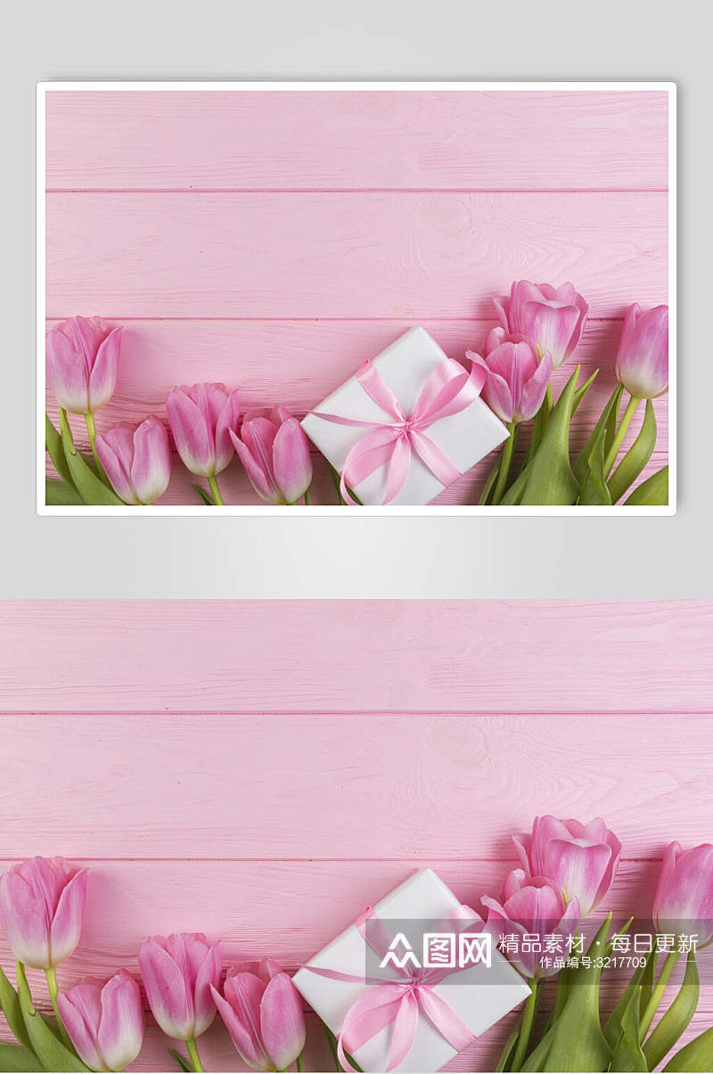 粉色花朵花语展示高清图片素材