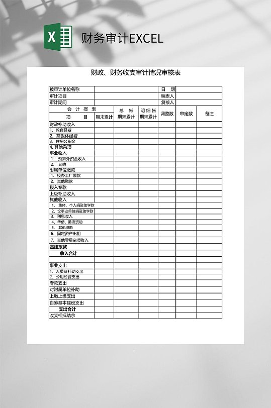 财政财务收支财务审计EXCEL