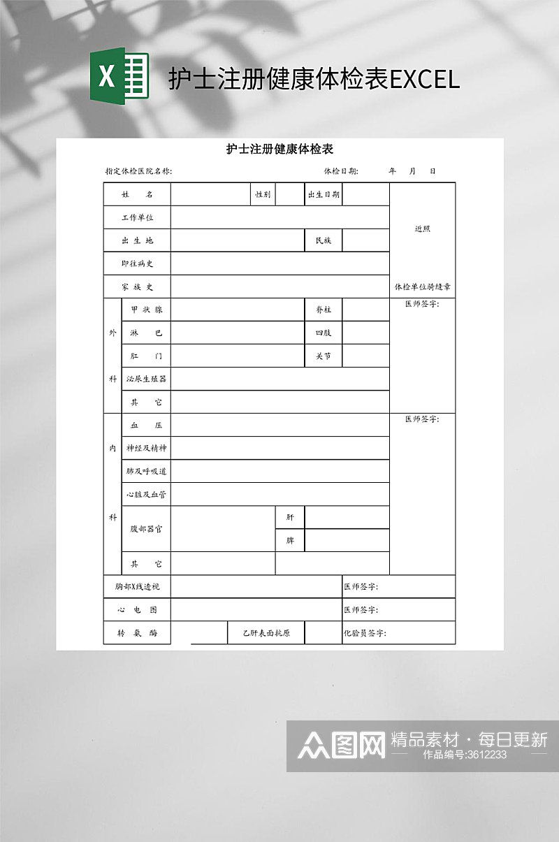 护士注册健康体检表EXCEL素材