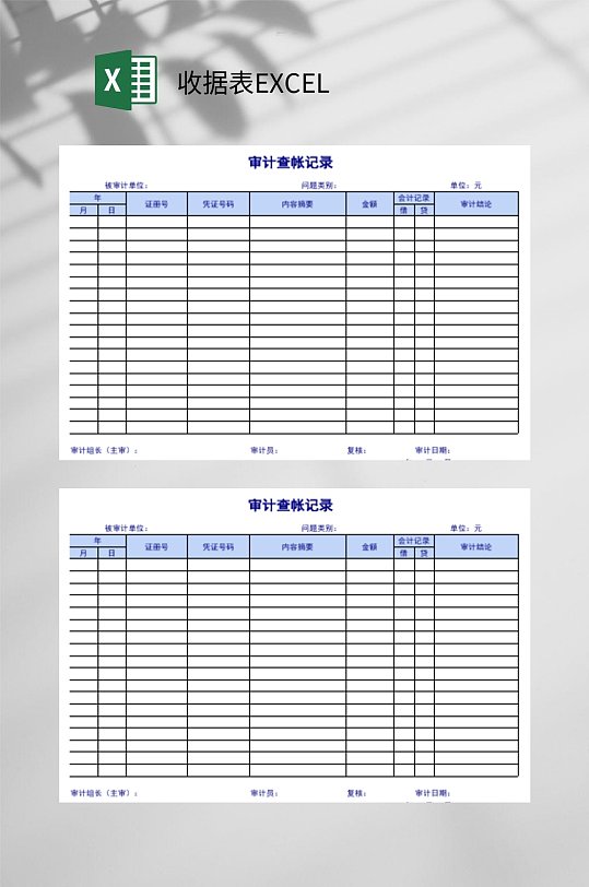 审计查账收据表EXCEL