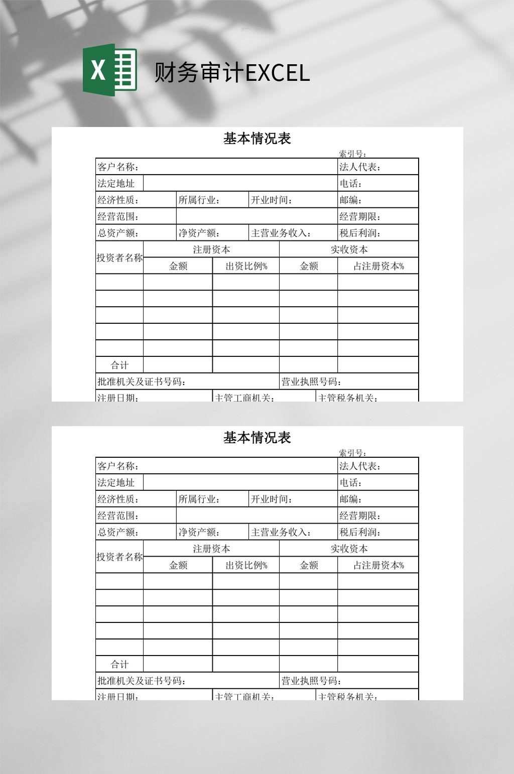 基本情况财务审计EXCEL素材