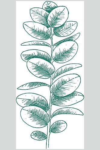 简约创意手绘树叶植物矢量素材