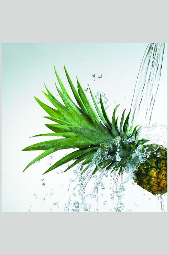 水菠萝图片-水菠萝素材下载-众图网
