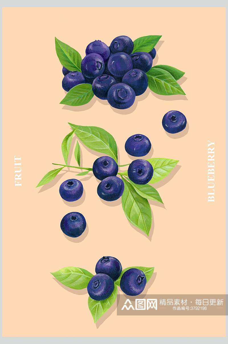 蓝莓水果切开切面插画素材