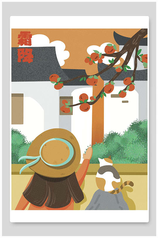 手绘中国风二十四节气猫咪霜降手绘柿子插画