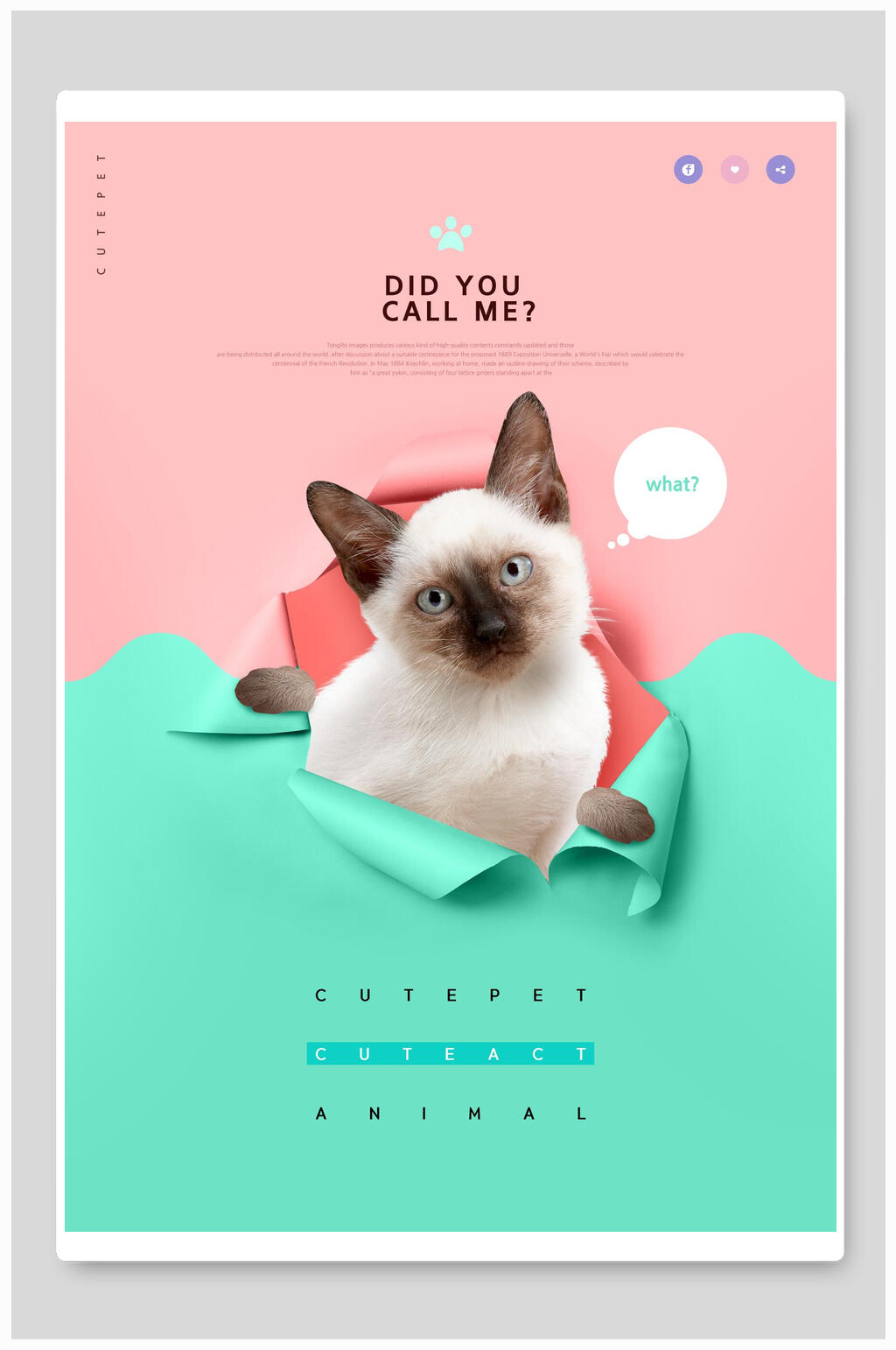 可爱猫咪粉蓝色宠物海报素材