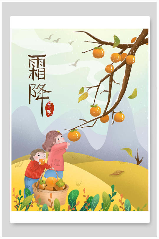 二十四节气柿子霜降手绘插画