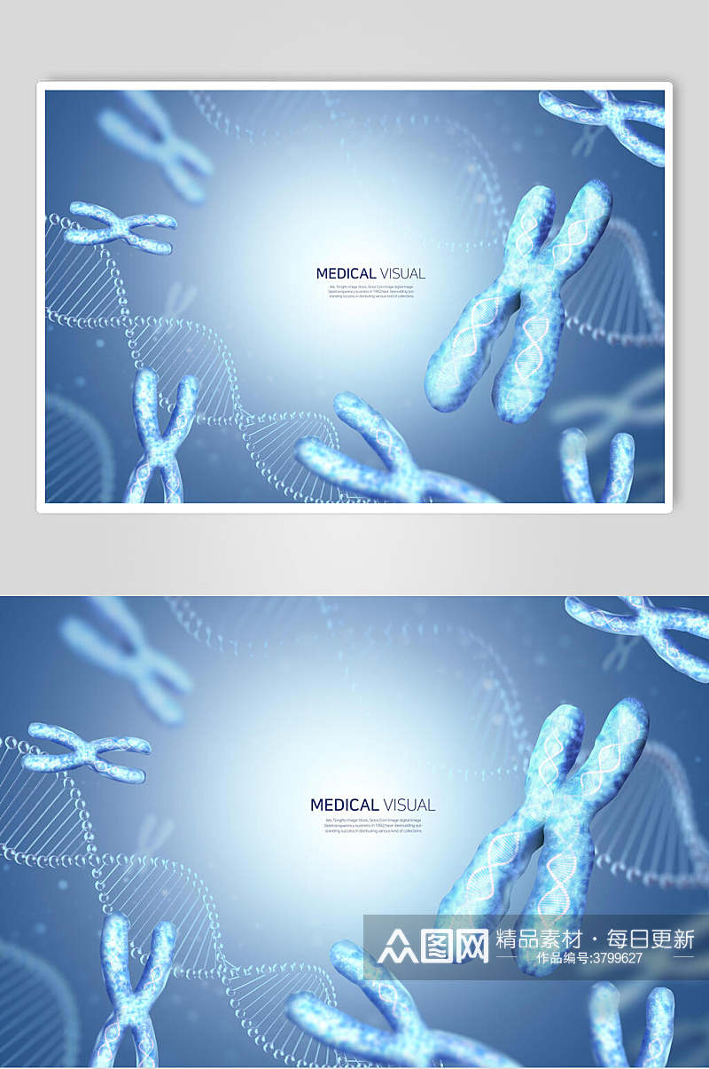 简约渐变染色体科技医疗背景素材素材