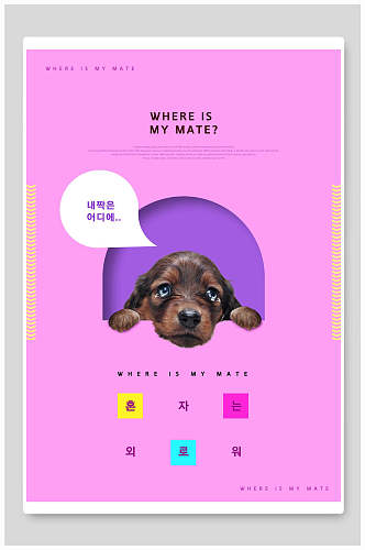 粉紫色泰迪可爱宠物海报