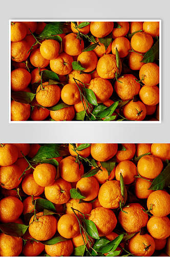 橘子新鲜水果高清图片