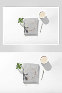 植物灰白创意大气书籍封面样机