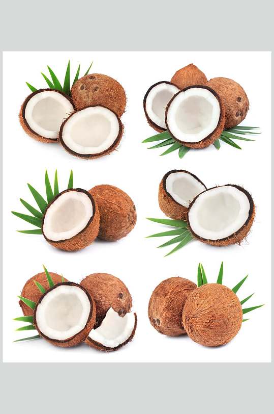 蔬菜水果椰子果肉图片