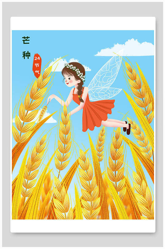 二十四节气芒种小麦手绘插画