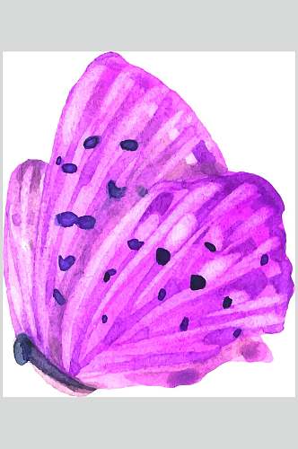 紫色蝴蝶水彩动物花卉矢量素材
