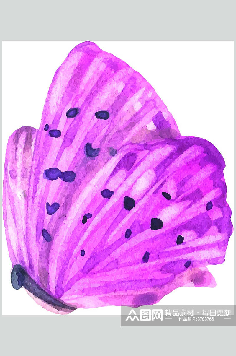 紫色蝴蝶水彩动物花卉矢量素材素材